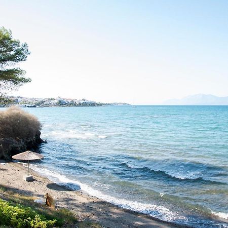 Luxury Premium Suite In Chalkida Ngoại thất bức ảnh